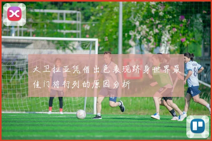 大卫拉亚凭借出色表现跻身世界最佳门将行列的原因分析